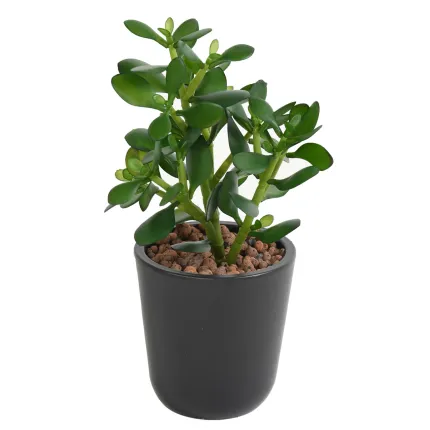 CRASSULA artificiel JADE 30 cm de face