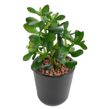 CRASSULA artificiel JADE 30 cm en pot