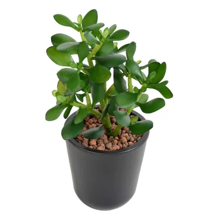 CRASSULA artificiel JADE 30 cm en pot