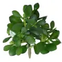 CRASSULA artificiel JADE 30 cm