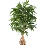 FICUS  artificiel LONGIFOLIA  racine 180 cm - feuillage