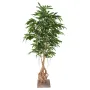 FICUS  artificiel LONGIFOLIA  racine 210 cm - de face