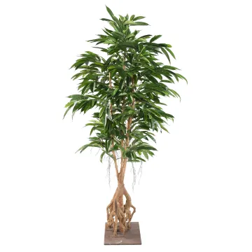 FICUS  artificiel LONGIFOLIA  racine 210 cm - de face