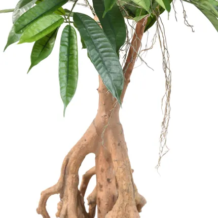 FICUS  artificiel LONGIFOLIA  racine 180 ou 210 cm - racines