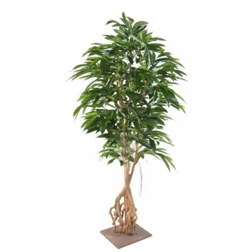 FICUS  artificiel LONGIFOLIA  racine 210 cm