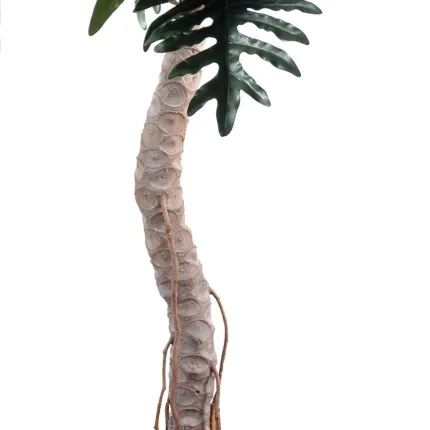 PHILODENDRON artificiel SELLOUM