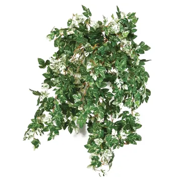 AMPELOPSIS artificiel mini 50 cm