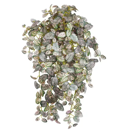 HYPOESTES mini artificiel  rose 50 cm