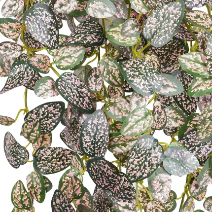 HYPOESTES mini artificiel  rose 50 cm - feuilles