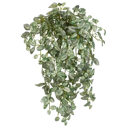 HYPOESTES mini artificiel vert 50 cm