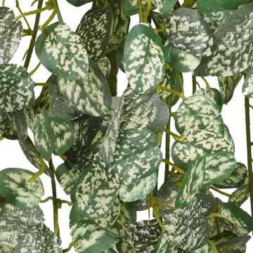 HYPOESTES mini artificiel vert 50 cm - feuilles