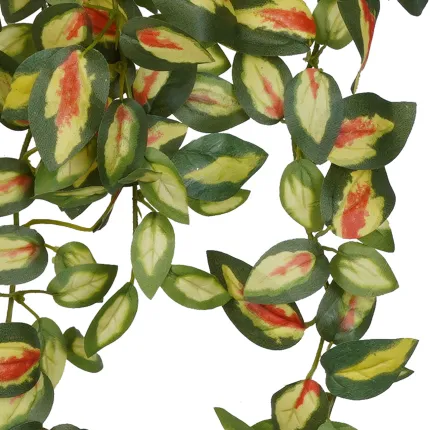 HOYA mini artificiel 50 cm - feuilles