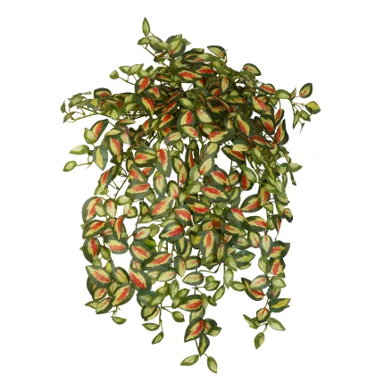 HOYA mini artificiel 50 cm