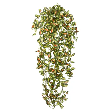 HOYA artificiel 95 cm