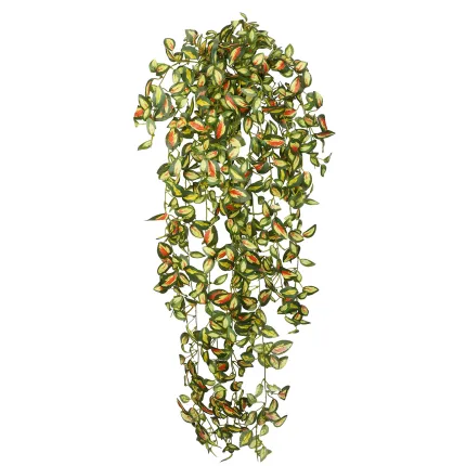 HOYA artificiel 95 cm