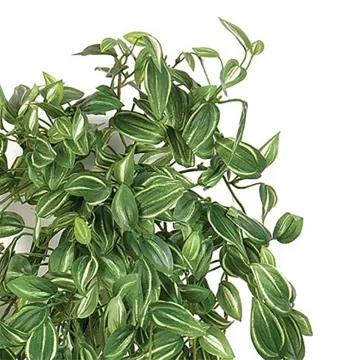 TRADESCANTIA artificiel 95 cm - feuilles