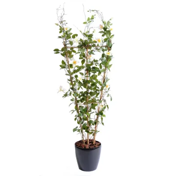 CLEMATITE artificielle PALISSADE  140 cm