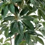 feuilles SCHEFFLERA artificiel actinophylla 150 à 210 cm