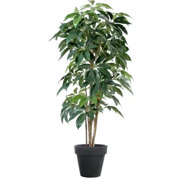 SCHEFFLERA artificiel actinophylla 150 à 210 cm