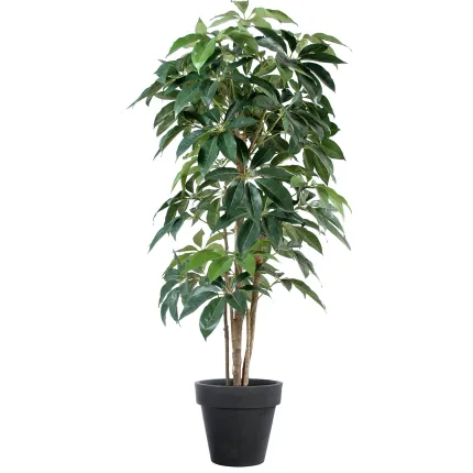 SCHEFFLERA artificiel actinophylla 150 à 210 cm