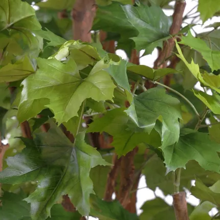 PLATANE artificiel TETE  260 cm - feuilles