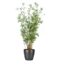 BAMBOU artificiel multitree ORIENTAL 100 à 220 cm en pot
