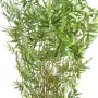 BAMBOU artificiel multitree ORIENTAL 100 à 220 cm - feuillage