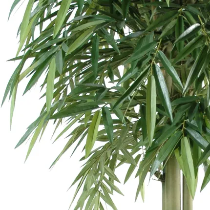 BAMBOU artificiel NEW TETE 3 Troncs 180 cm - feuilles