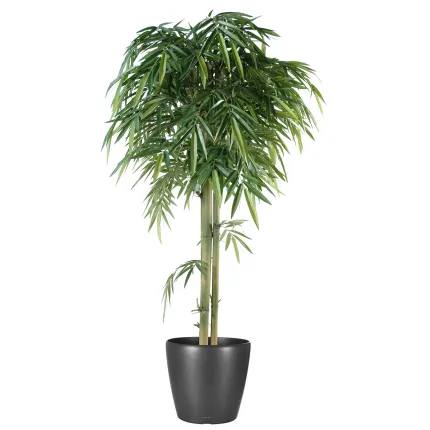 BAMBOU artificiel NEW TETE 3 Troncs 180 cm