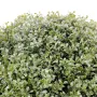 BUIS artificiel boule regular . . . 55 et 65 cm - feuilles