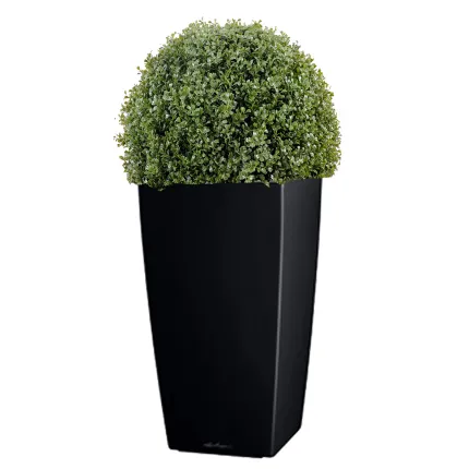 BUIS artificiel boule regular . . . 55 et 65 cm