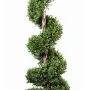 feuilles et tronc BUIS artificiel SPIRALE NEW 140 et 180 cm