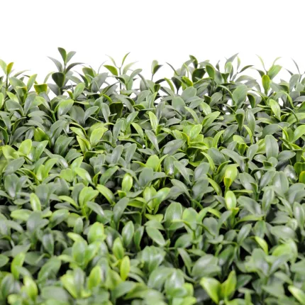 BUIS PLAQUE 26 cm x 26 cm - feuilles