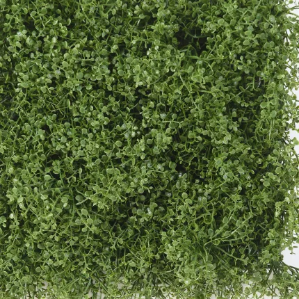 HELIXINE  PLAQUE 31 cm x 31 cm - détails