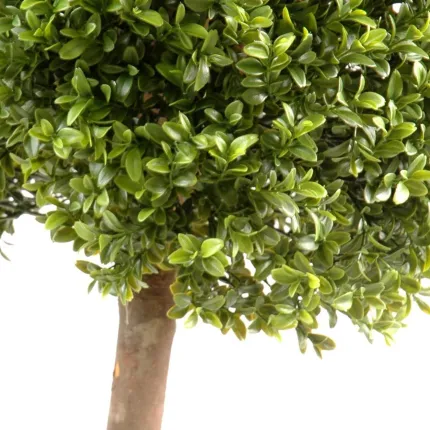 feuillage et tronc BUIS artificiel TIGE BOULE NEW 110 à 170 cm