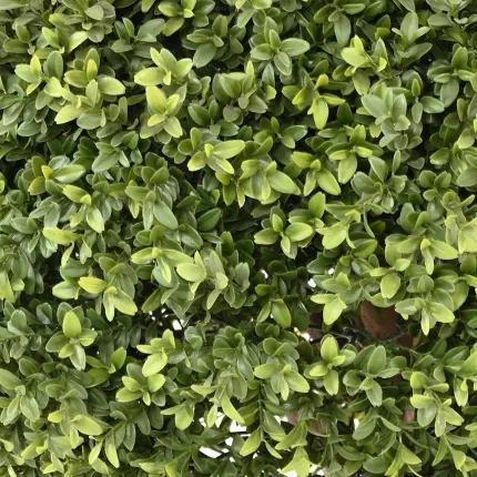 buis artificiel tige double et triple boule  165 et 190 cm - feuillage