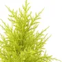 CYPRES artificiel MINI JAUNE VERT  55 cm ( Juniperus) - cime