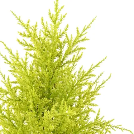 CYPRES artificiel MINI JAUNE VERT  55 cm ( Juniperus) - cime