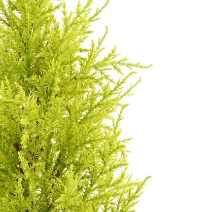 CYPRES artificiel MINI JAUNE VERT  55 cm ( Juniperus) - coté