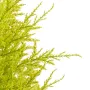 CYPRES artificiel MINI JAUNE VERT  55 cm ( Juniperus) - brins détails