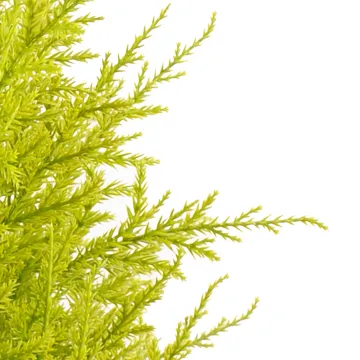 CYPRES artificiel MINI JAUNE VERT  55 cm ( Juniperus) - brins détails