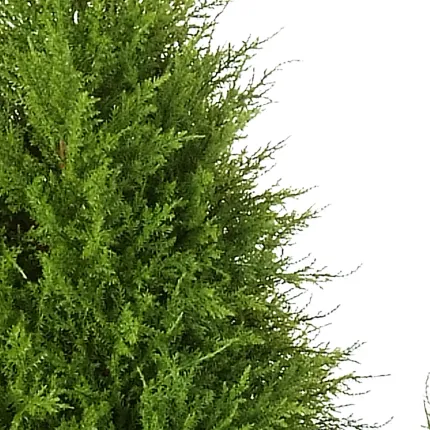 CYPRES artificiel ARBRE 120 à 180 cm - coté