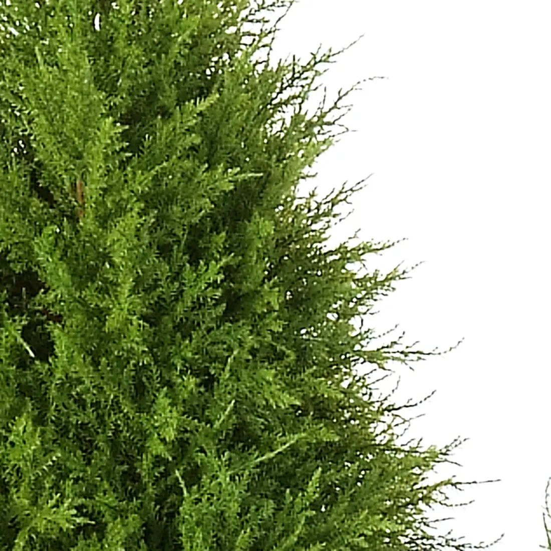 CYPRES artificiel ARBRE 120  180 cm - Cyprs artificiels - Reflets Nature