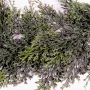 guirlande de CYPRES artificiel 180 cm - partie centrale