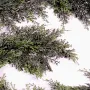 guirlande de CYPRES artificiel 180 cm - brins