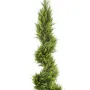 CYPRES artificiel JUNIPERUS spirale 130 et 160 cm - cime