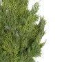 CYPRES  artificiel pic 60 cm - coté
