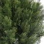 CYPRES artificiel buisson rond 75 ou 90  cm - détails feuillage
