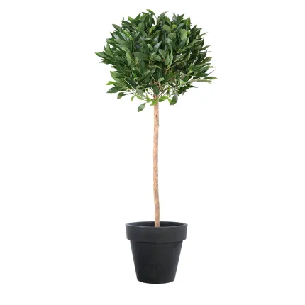 LAURIER artificiel BOULE LUXE sur TIGE 135 cm