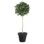 LAURIER artificiel BOULE LUXE sur TIGE 150 et 180 cm